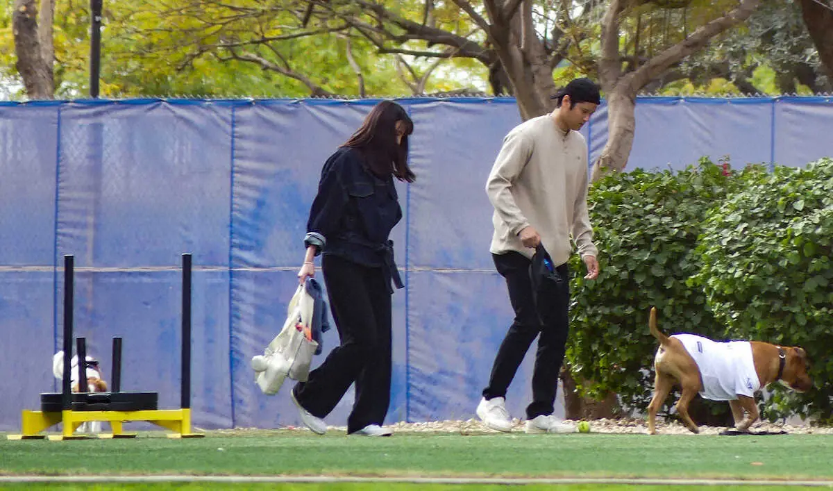 【画像・写真】ドジャース大谷　キャンプ地に真美子夫人、デコピンと新たな“背番号17”犬と登場　ボール追いかけ笑顔