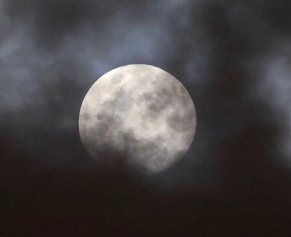 【画像・写真】【内田雅也の追球】不完全だから美しい。