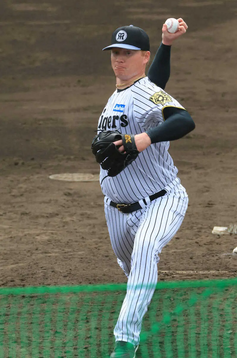 【画像・写真】阪神の新外国人・ネルソンが馬肉パワーで馬力全開　自慢のナックルに他球団スコアラー警戒「質は良かった」