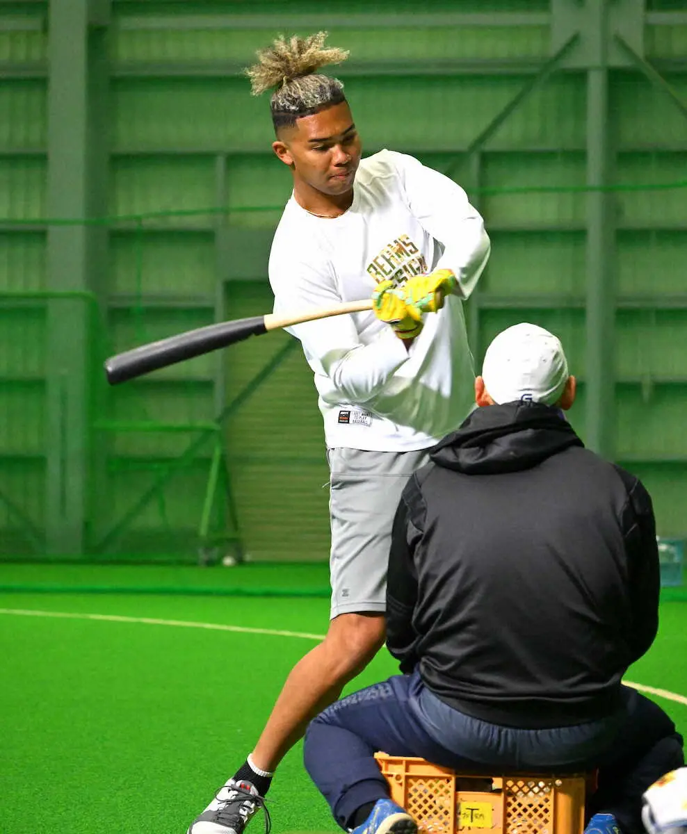【画像・写真】日本ハム・水谷　現役ドラフトからは侍ジャパン初選出「チームに持ち帰って還元できるように」
