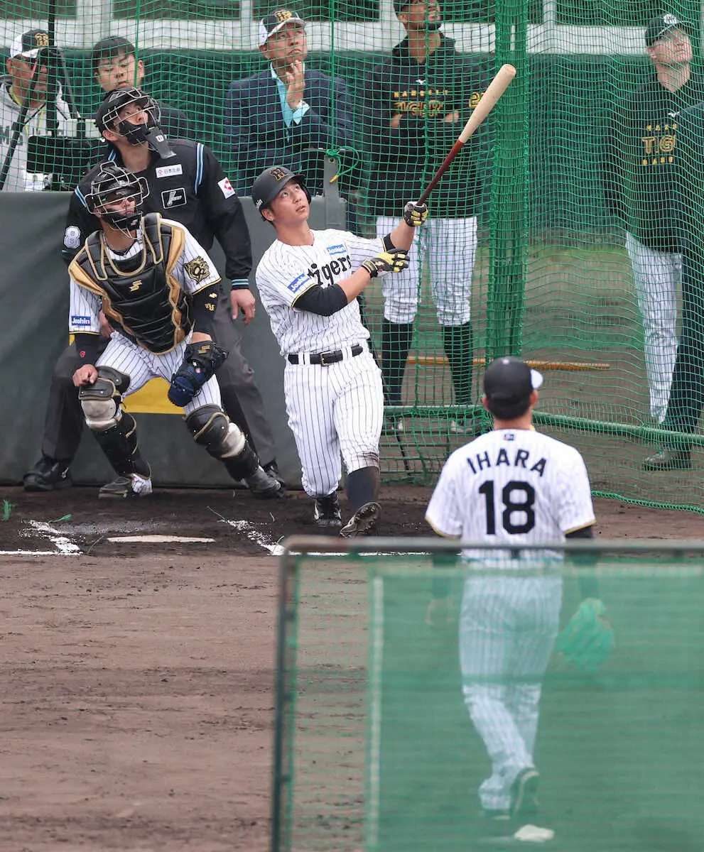 【画像・写真】阪神・井坪　新人コンビ伊原&木下撃ち　「力みのないスイング」でプロ3年目“先輩”の意地見せた