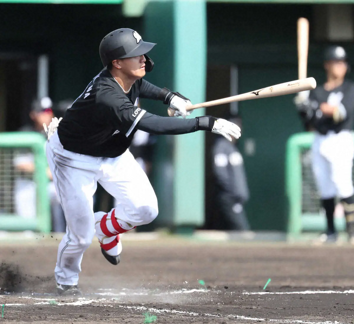 【画像・写真】ロッテのドラ1西川史礁が初猛打賞「結果的に3本出たのは本当に良かった」