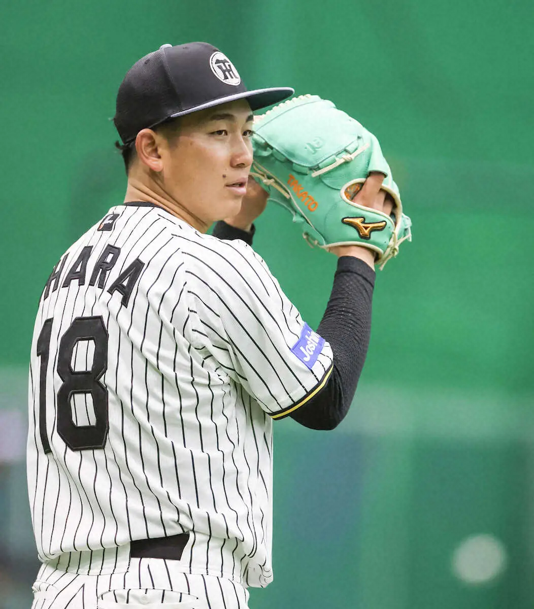 【画像・写真】阪神・伊原が4日教育Lでプロ初先発「必要とされるところで」左腕先発枠つかむ　遺伝子分析でケアも万全