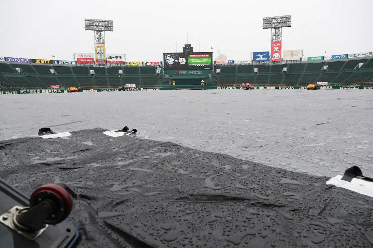 【画像・写真】阪神―中日　天候不良のため中止を発表　助っ人ネルソンの聖地デビューお預け
