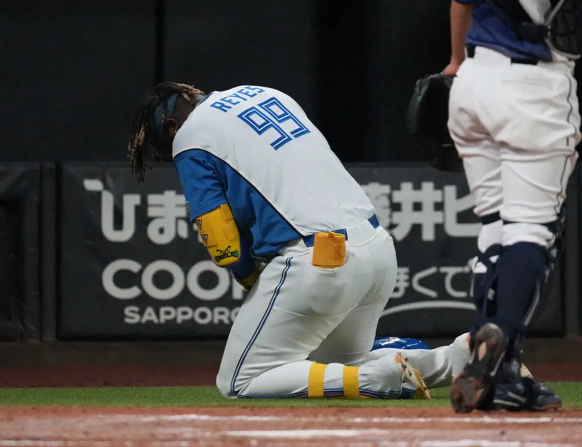 【画像・写真】日本ハム・レイエス　骨に異常なし　前日右手首に死球も新庄監督、復帰は「3日ぐらいで多分」