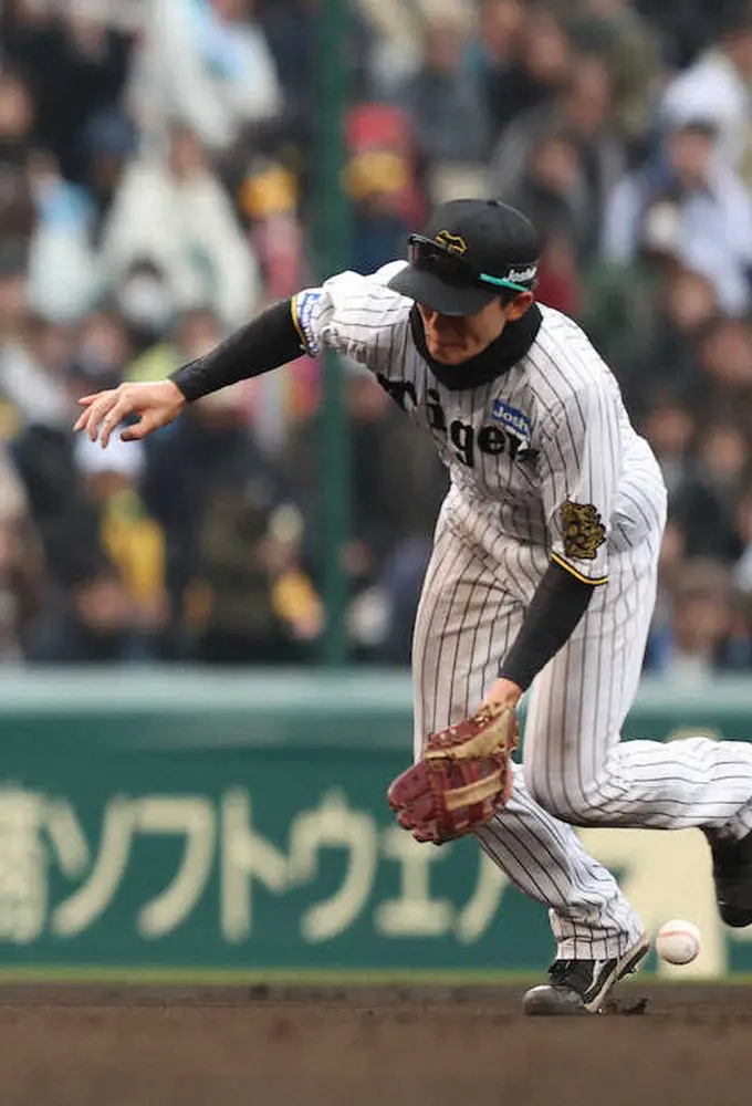【画像・写真】【内田雅也の追球】「浅春」の拙守敗戦　好守も出た中で、つぶすべき課題が見えた