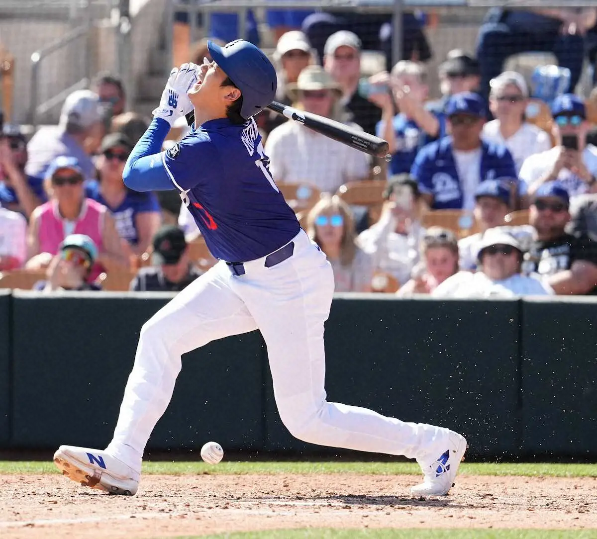 【画像・写真】大谷翔平が自打球で痛みに悶絶　下腹部付近に当たり崩れ落ちる場面も　元燕・マクガフに3球三振