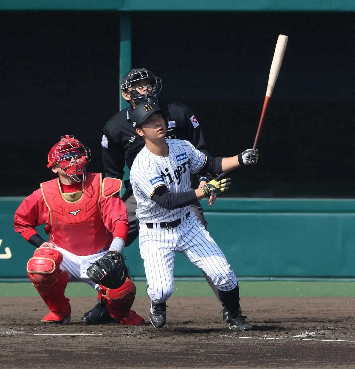 【画像・写真】阪神・井坪、町田がSGLでの2軍練習に合流　井坪はオープン戦7試合出場、打率・222