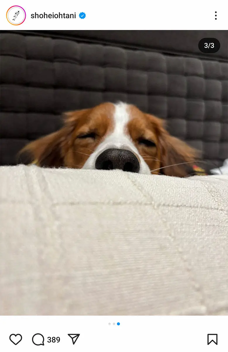 【画像・写真】ドジャース大谷　村上隆氏との2ショット披露　LAでお留守番のデコピンショットも連続投稿