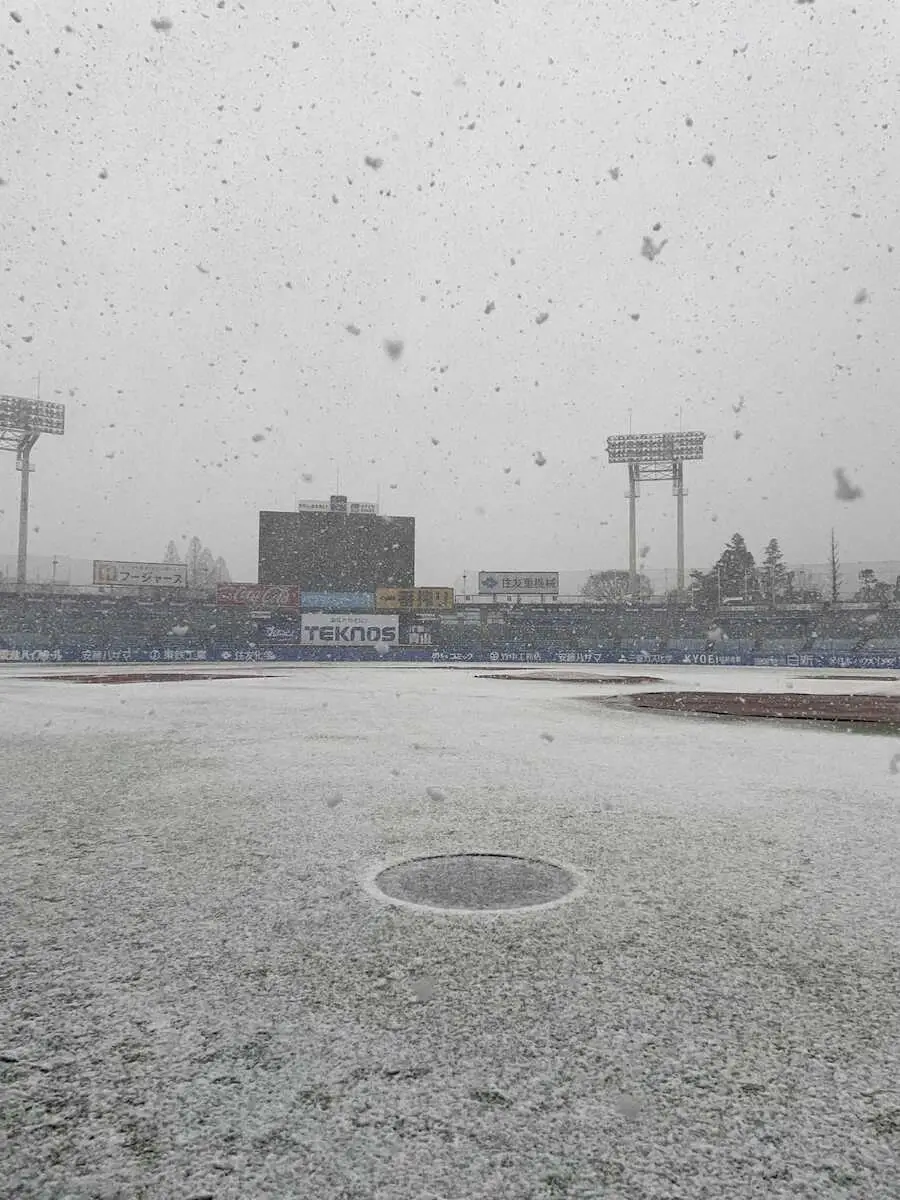【画像・写真】神宮球場に大粒の雪　19日のヤクルト－阪神戦前に…　午前10時10分に中止発表