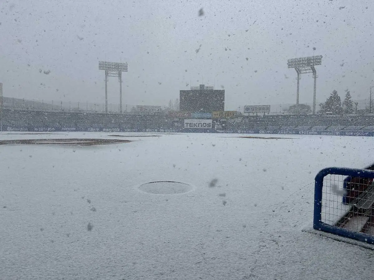 【画像・写真】神宮球場で雪　19日のヤクルト―阪神オープン戦が中止に