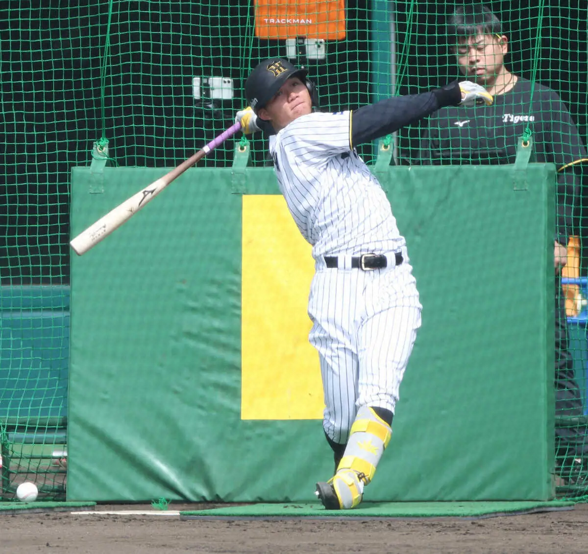 【画像・写真】阪神・森下　オープン戦打率・167も不安なし　「シーズン始まったら、全然打ちますよ！」