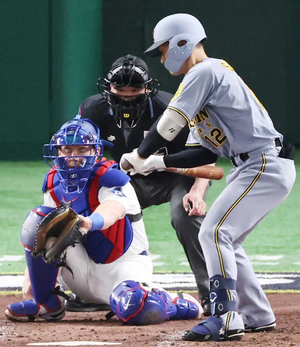 【画像・写真】【虎番リポート】阪神・坂本　チーム一の大リーグ通がドジャースとの試合で受けた刺激とは