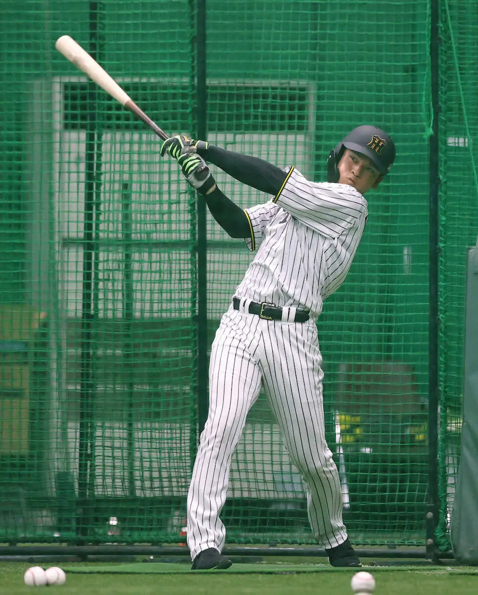 【画像・写真】阪神・高寺がドラ7以下入団内野手では球団25年ぶりの開幕1軍切符　「より一層、しっかりやらなきゃ」