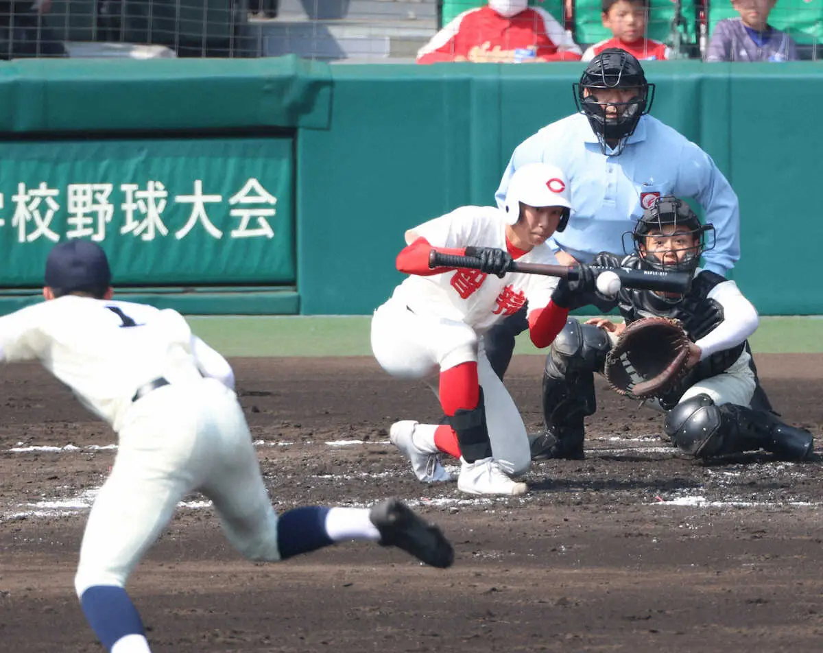 【画像・写真】＜広島商・智弁和歌山＞2回、スクイズを決める智弁和歌山・黒川（投手・大宗）（撮影・中辻　颯太）