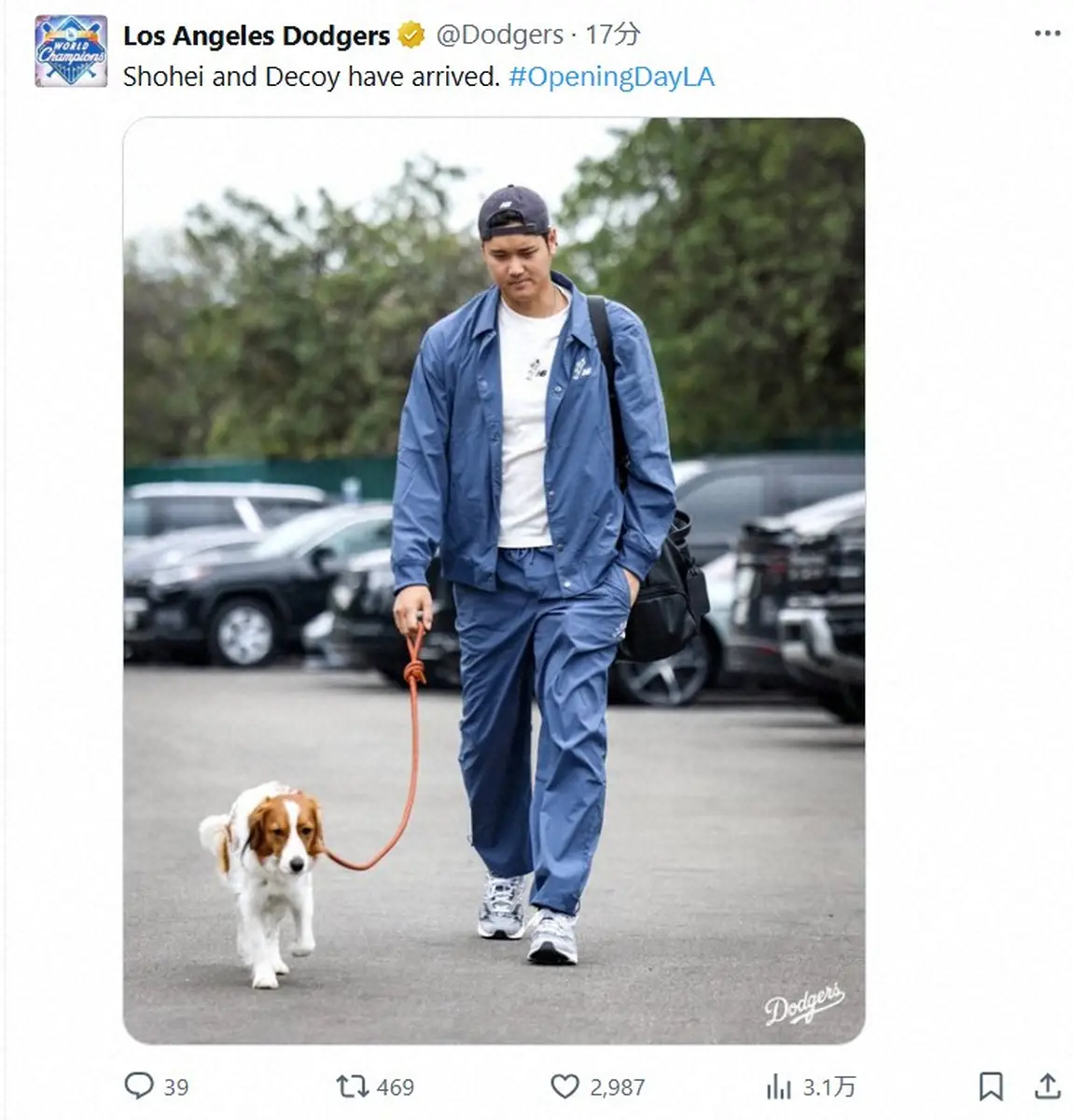 【画像・写真】いざ本拠開幕！大谷翔平、愛犬とともに戦闘態勢で球場入り「デコピンも戦う顔」「真剣な表情」
