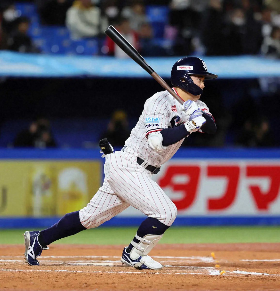 【画像・写真】ヤクルト・丸山和郁　17日の試合で右手首付近痛め登録抹消…骨片除去手術へ