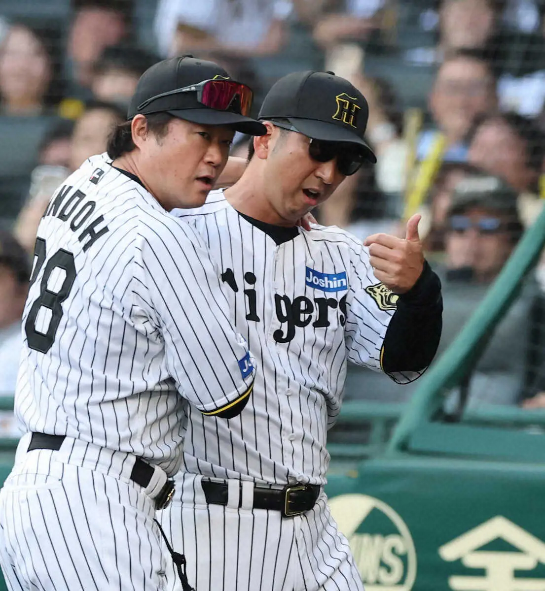 【画像・写真】＜神・広（6）＞　8回、坂本の頭部死球に怒る藤川監督（撮影・大森　寛明）