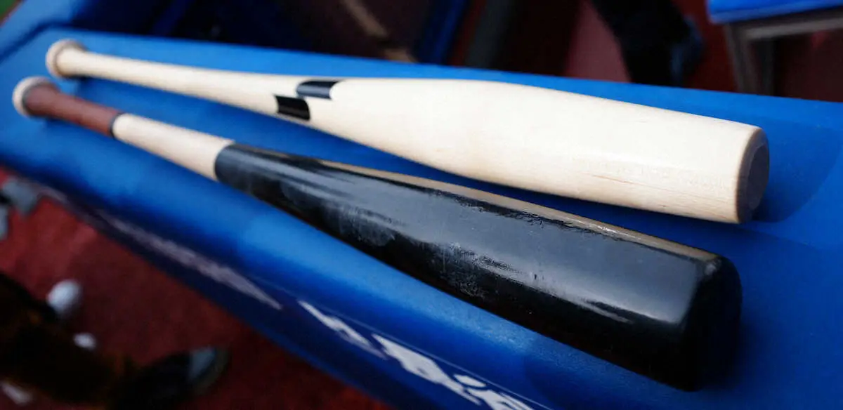 【画像・写真】＜D・ヤ（1）＞魚雷バット（奥）と従来のバット（撮影・島崎忠彦）