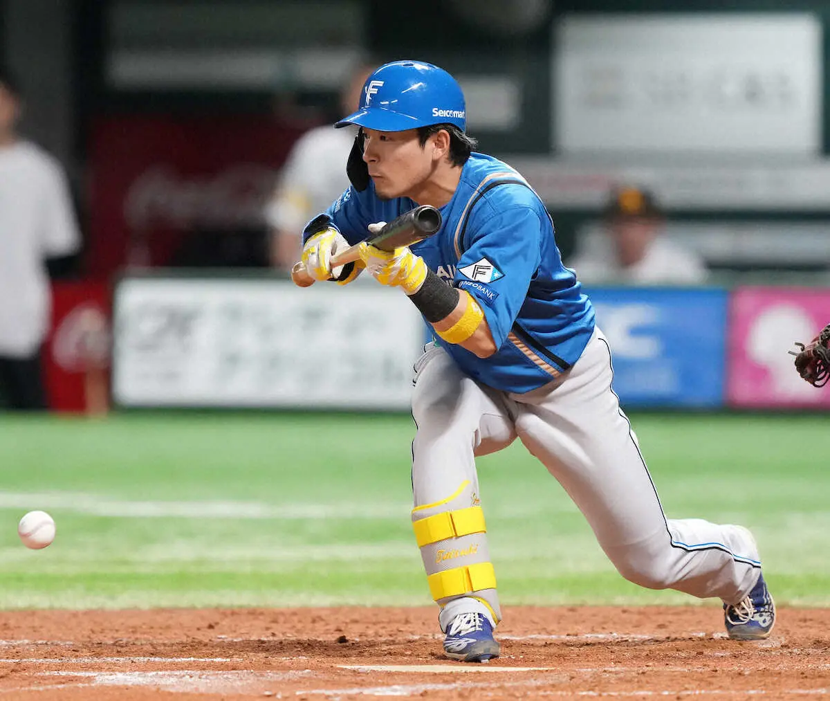 【画像・写真】日本ハム・水野　“きっちり”チーム今季初のスクイズ成功