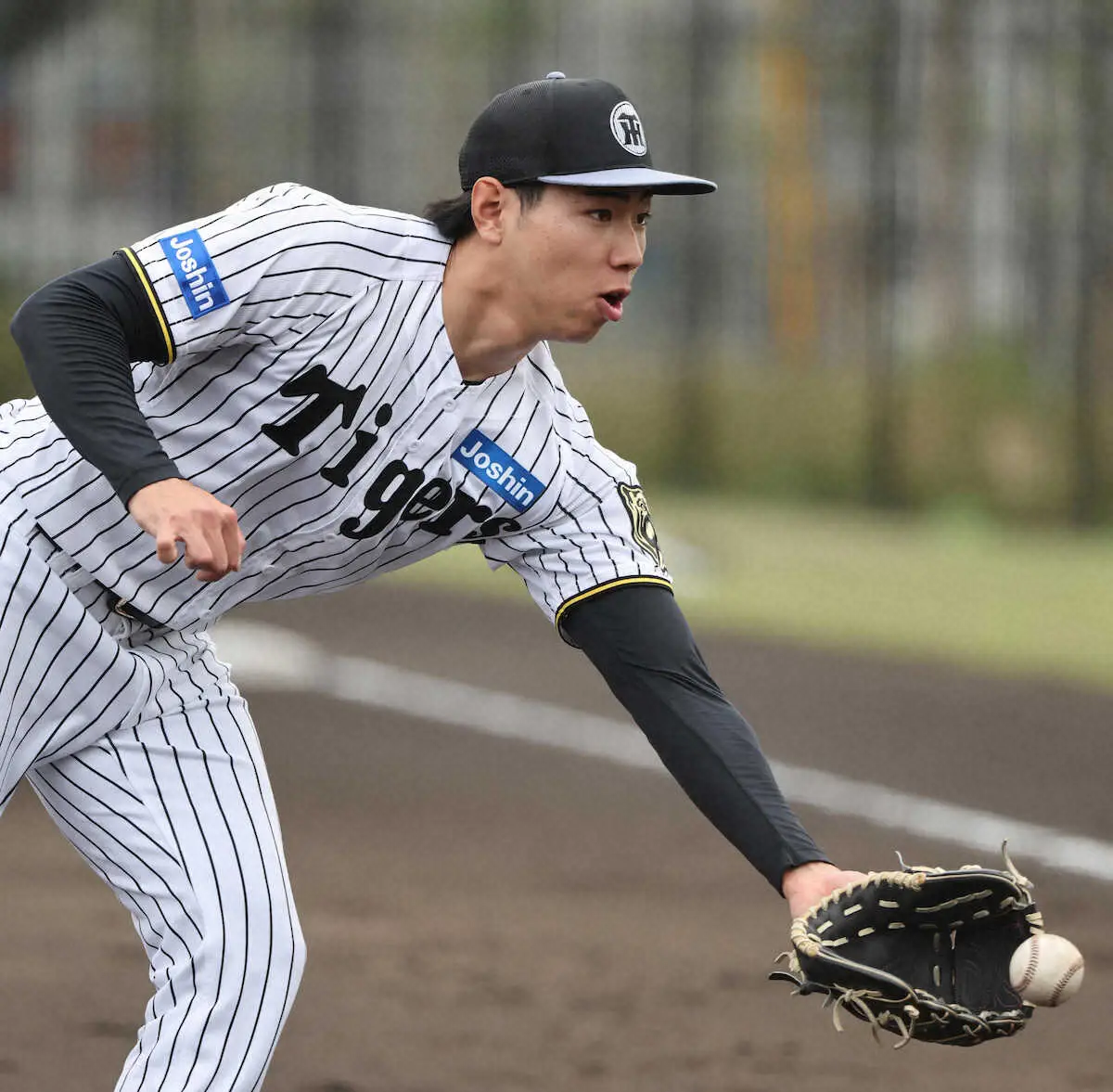 【画像・写真】阪神・工藤が再昇格で1軍合流　29日のウエスタンリーグでは1回無失点、2奪三振