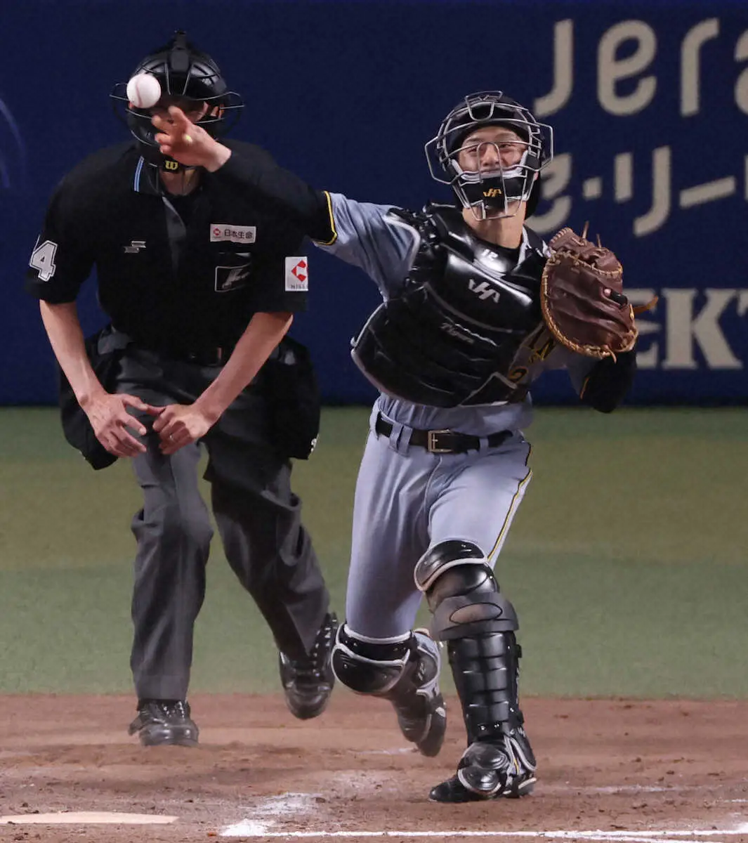 【画像・写真】＜中・神＞　7回、樋口の二盗を刺す坂本　（撮影・須田　麻祐子）　