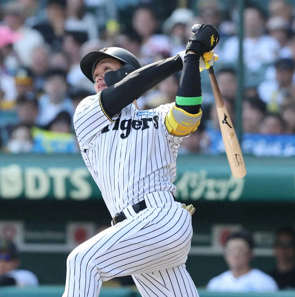 【画像・写真】阪神・森下　左越え3号ソロは空砲も打率・317、3年目で初めてリーグトップ浮上