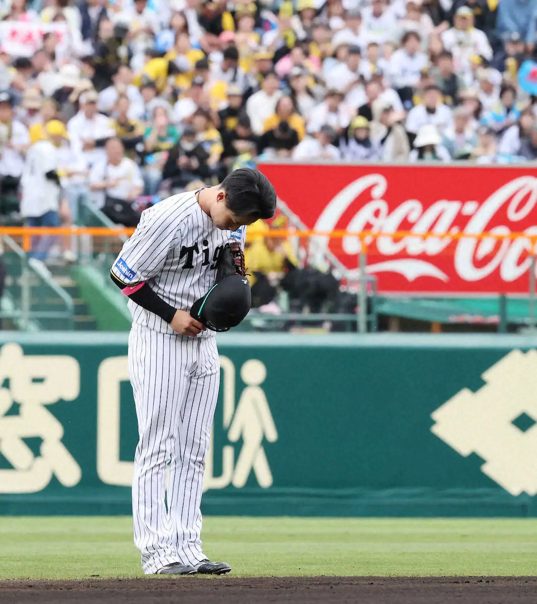 【画像・写真】＜神・中（7）＞6回から途中出場で守備に就いた木浪は、ファンから大声援を受ける（撮影・椎名　航）