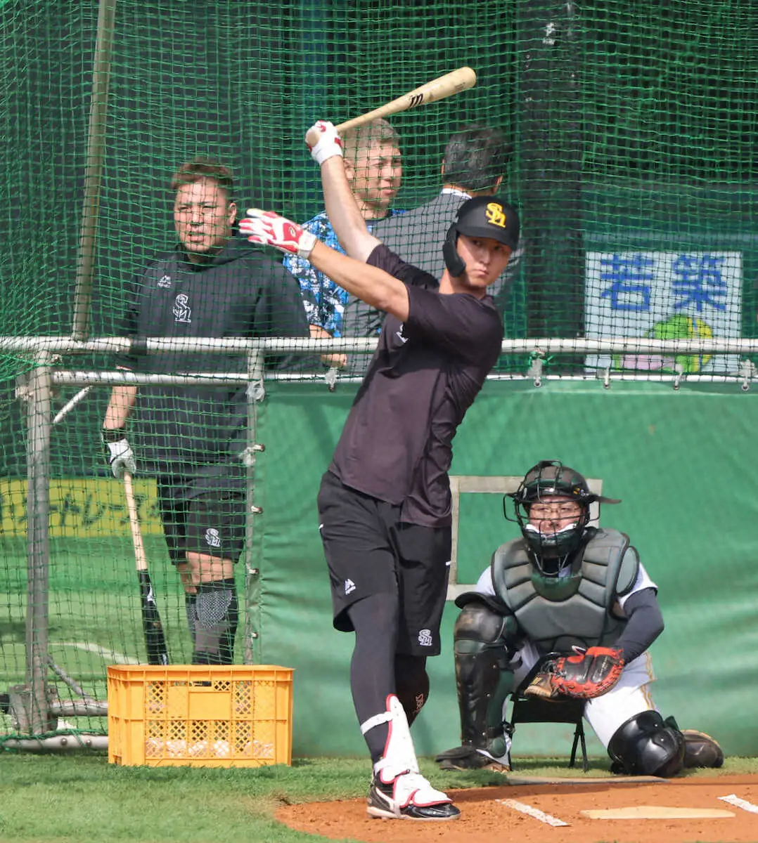 【画像・写真】【15日の公示】ソフトバンクが秋広を登録し広瀬を抹消　阪神はネルソン登録　DeNAは関根を抹消