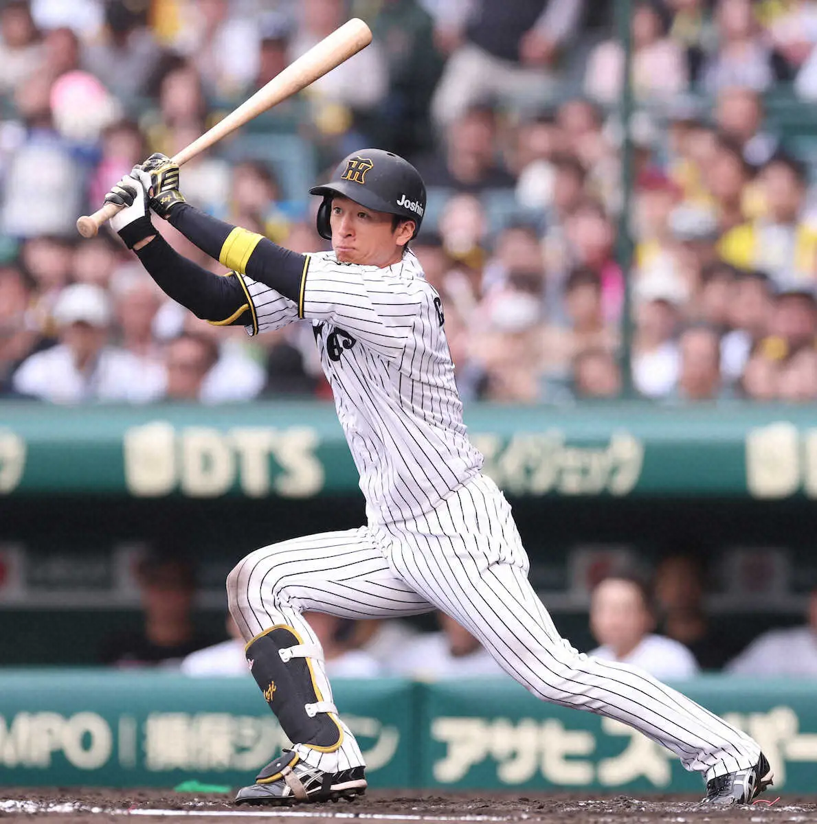 【画像・写真】阪神・近本　自身初5打数5安打　18年大山以来球団7年ぶり　4本目以外全て第1ストライクをスイング