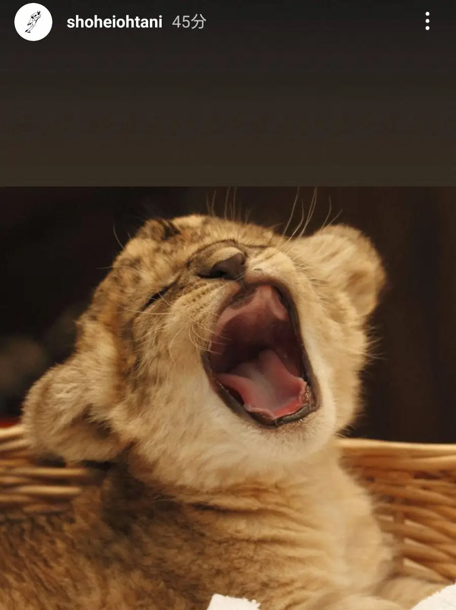 【画像・写真】ドジャース・大谷翔平のインスタグラム（＠shoheiohtani）から