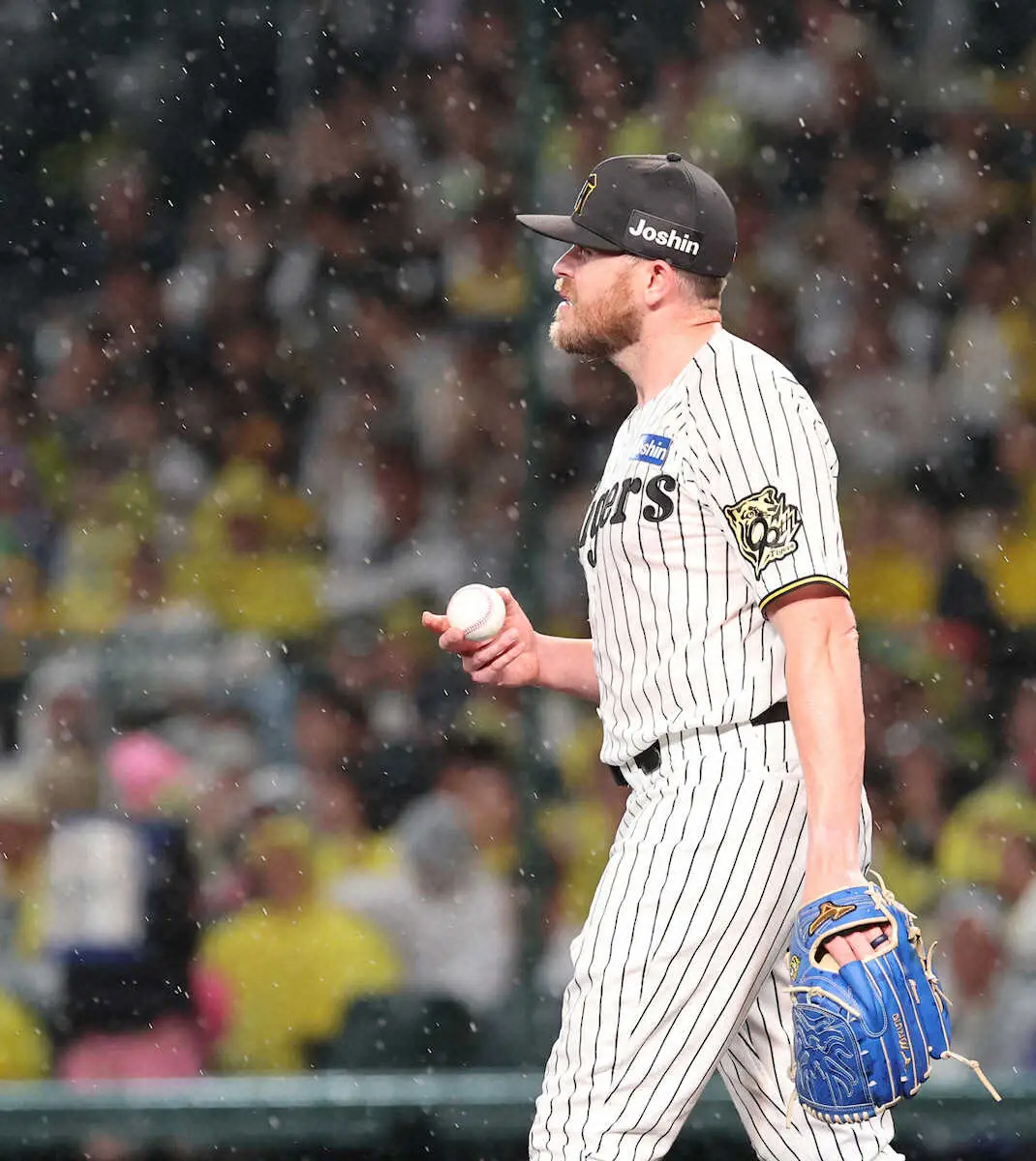 【画像・写真】阪神　猛追及ばず巨人に惜敗　2位広島と1ゲーム差に