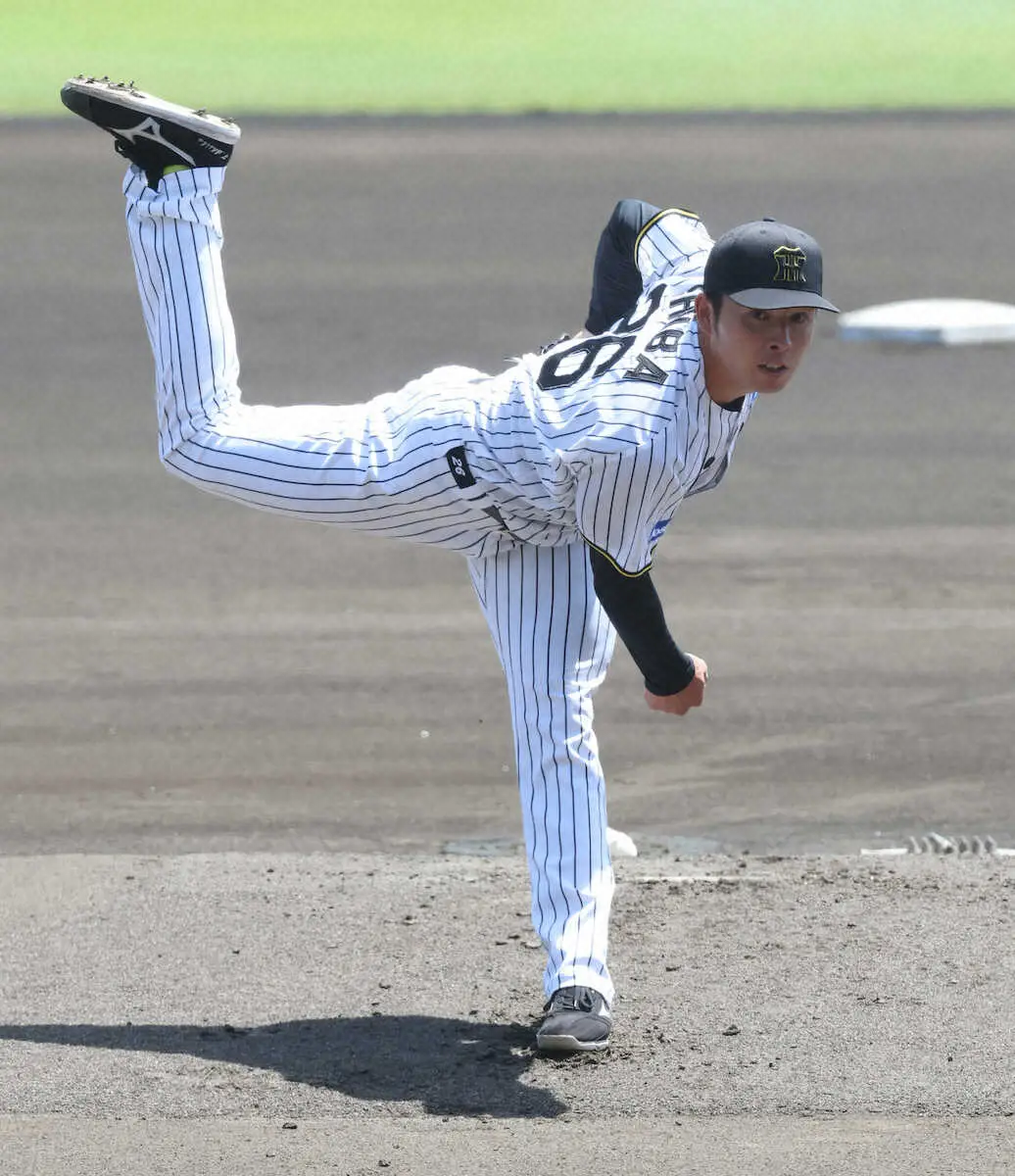 【画像・写真】阪神・椎葉　1軍初昇格つかんだ直球の球速アップの秘密「軸足の使い方をしっかり見直したことが大きい」