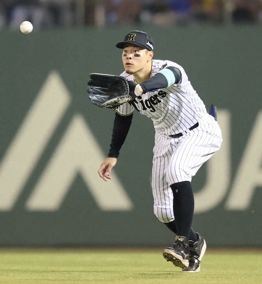 【画像・写真】阪神・佐藤輝　祖父母の前で通算1000塁打達成！3年ぶり右翼守備も「慣れているので」