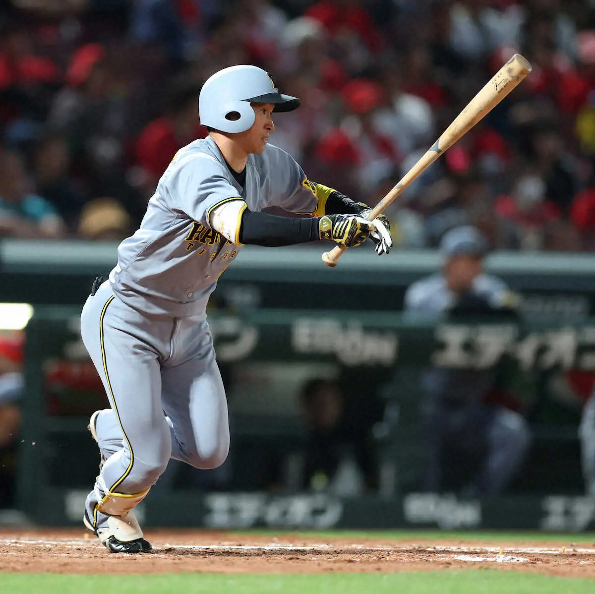 【画像・写真】阪神・近本　淡路島コンビの絆で村上を援護打　登板時は打率・302！「結果的に点につながって良かった」