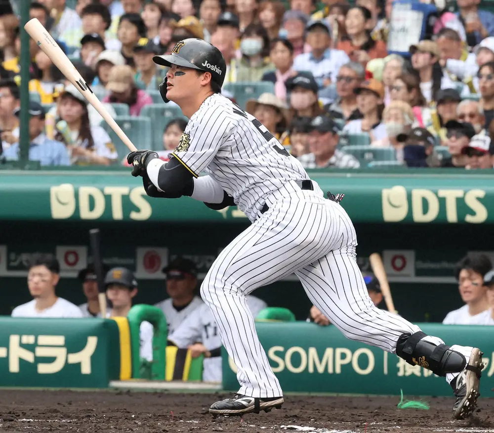 【画像・写真】【ファーム情報】4試合が雨天中止　阪神・前川が2安打　中日・鵜飼4号ソロ　ソフトバンク前田悠が3勝目