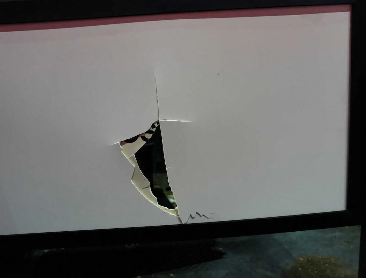 【画像・写真】ドジャース・大谷の22号　テラスのパーティション破壊　破片持ち帰るファンも