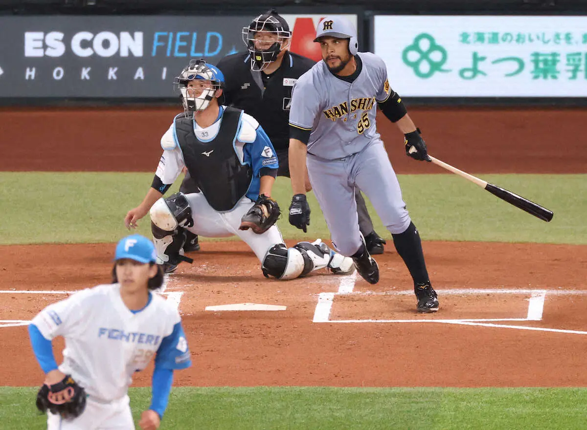【画像・写真】阪神・ヘルナンデス　来日初タイムリー「結果がほしい場面だったし、得点することだけを考えた」