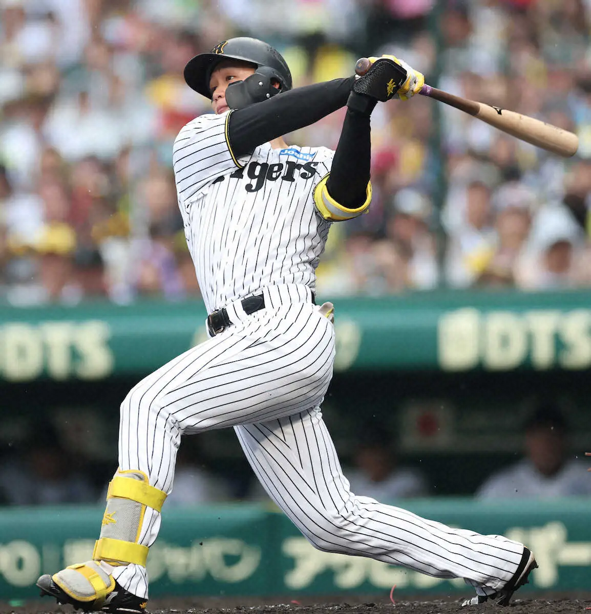【画像・写真】阪神　オリックスに大勝でカード3連勝　森下が2試合連続3ラン　先発・伊原は今季5勝目