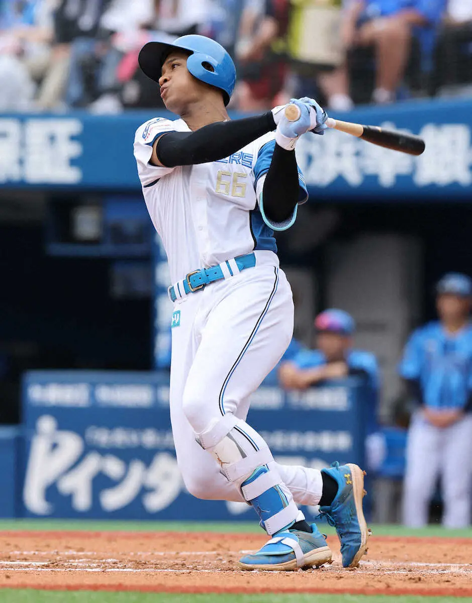 【画像・写真】プロ野球6試合で今季最多の合計14本塁打　5月16日の13本抜く　令和通算8000号も出た！