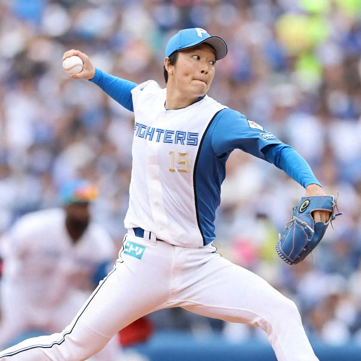 【画像・写真】日本ハム・玉井大翔が国内FA権取得「残ってくれと言われるような選手に」「頑張ってきた勲章」