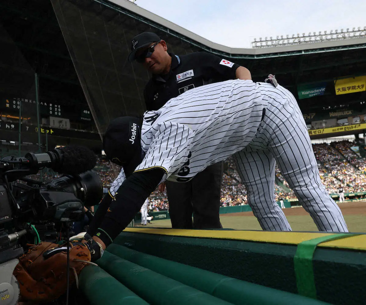 【画像・写真】阪神・大山が必死のチャージ　ファウルボール追ってカメラ席に飛び込む　塁審も起き上がりをヘルプ