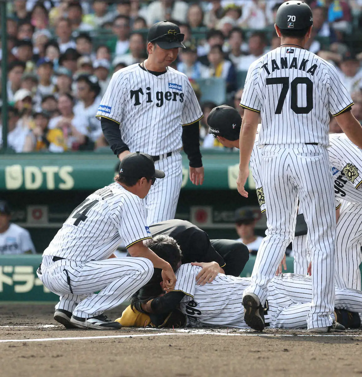 【画像・写真】阪神　藤川監督「今のところ大丈夫だとは思います」中野が頭部死球を受け、表情は曇る