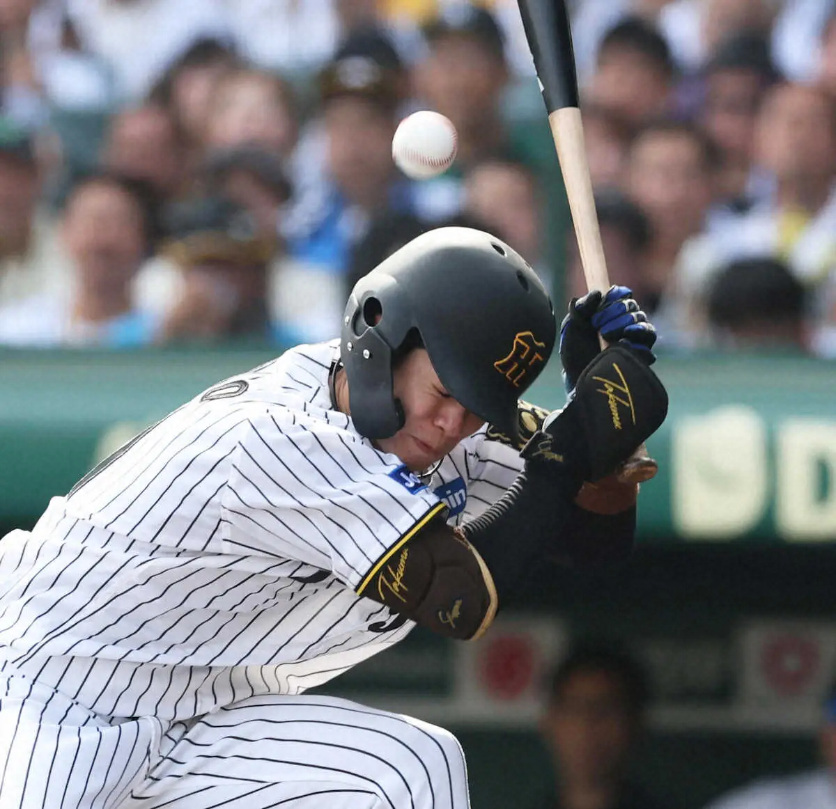 【画像・写真】阪神・中野　頭部死球の衝撃「ヘルメットの方には亀裂が入っていた」藤川監督