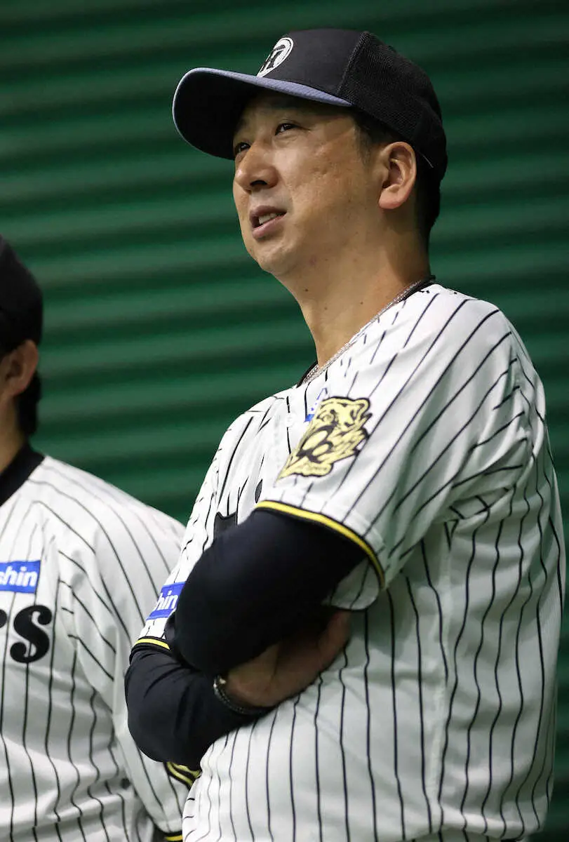 【画像・写真】＜阪神練習＞練習を見つめる藤川監督（撮影・北條　貴史）