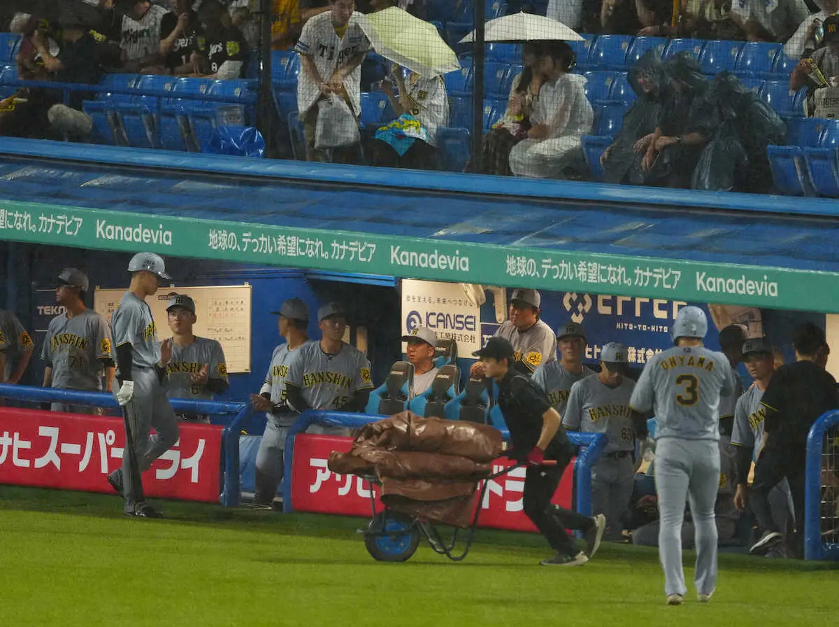 【画像・写真】阪神　4回に2点先制、雨で一時中断も再開　神宮でヤクルト戦