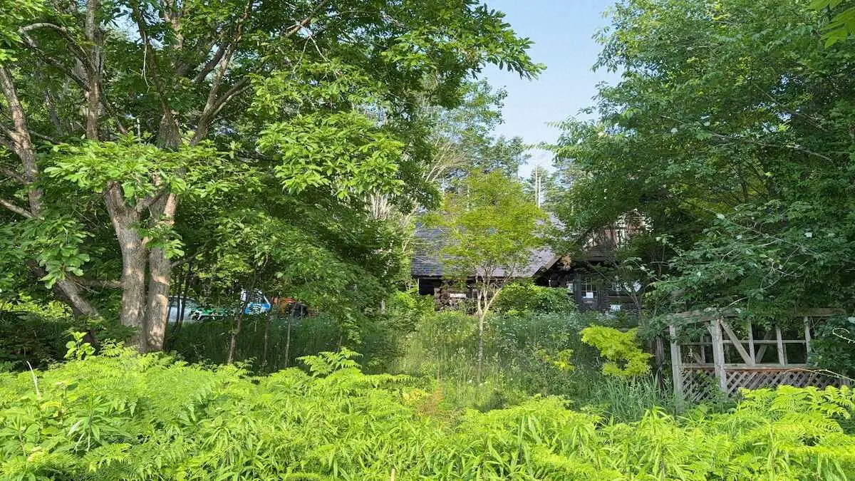 【画像・写真】日本ハムCBO 栗山英樹氏　見えないものが大事なんだと倒れた木が教えてくれる