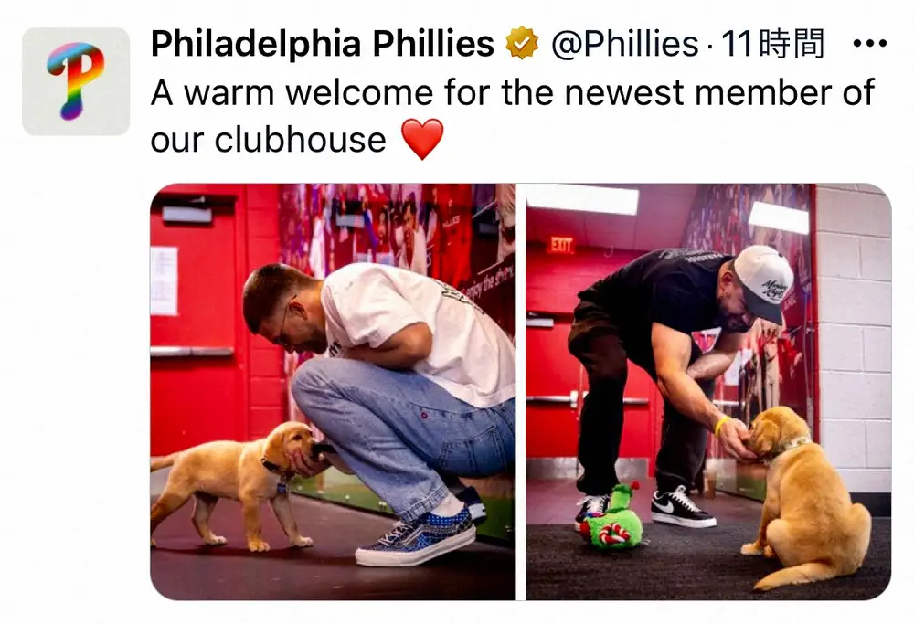 【画像・写真】デコピンにまた“ライバル”登場！？フィリーズの介助犬「タガー」が2日の試合でメジャーデビューへ！