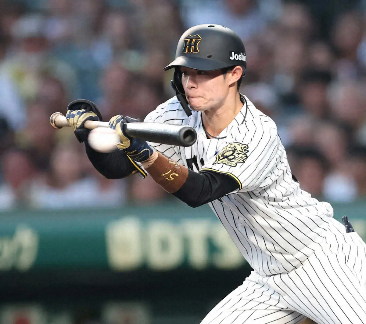 【画像・写真】＜神・巨（13）＞　3回、中野は犠打を決める　（撮影・平嶋　理子）