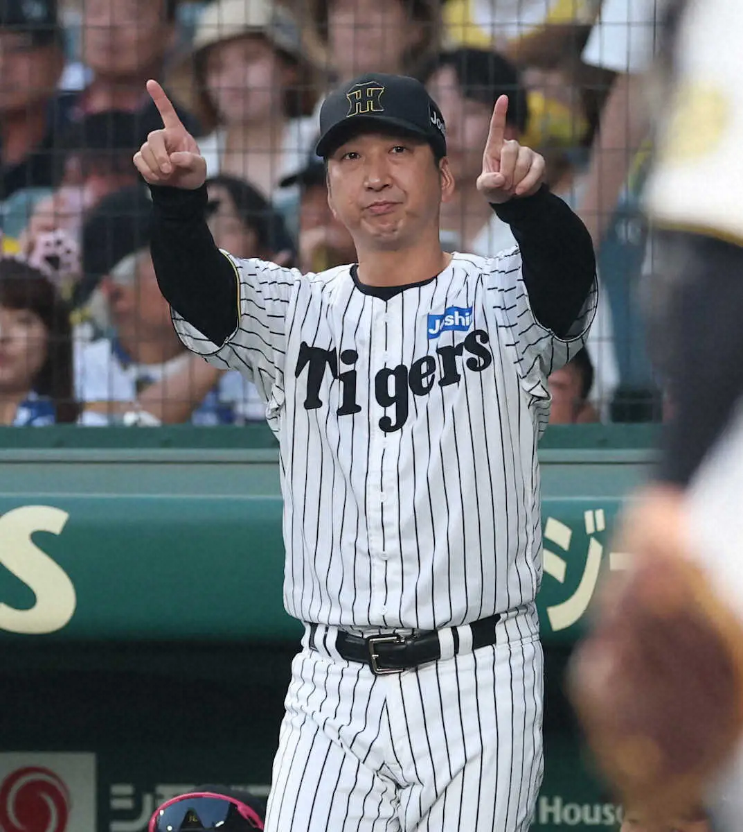 【画像・写真】阪神　藤川監督が連夜のリクエスト　今回は判定覆らず